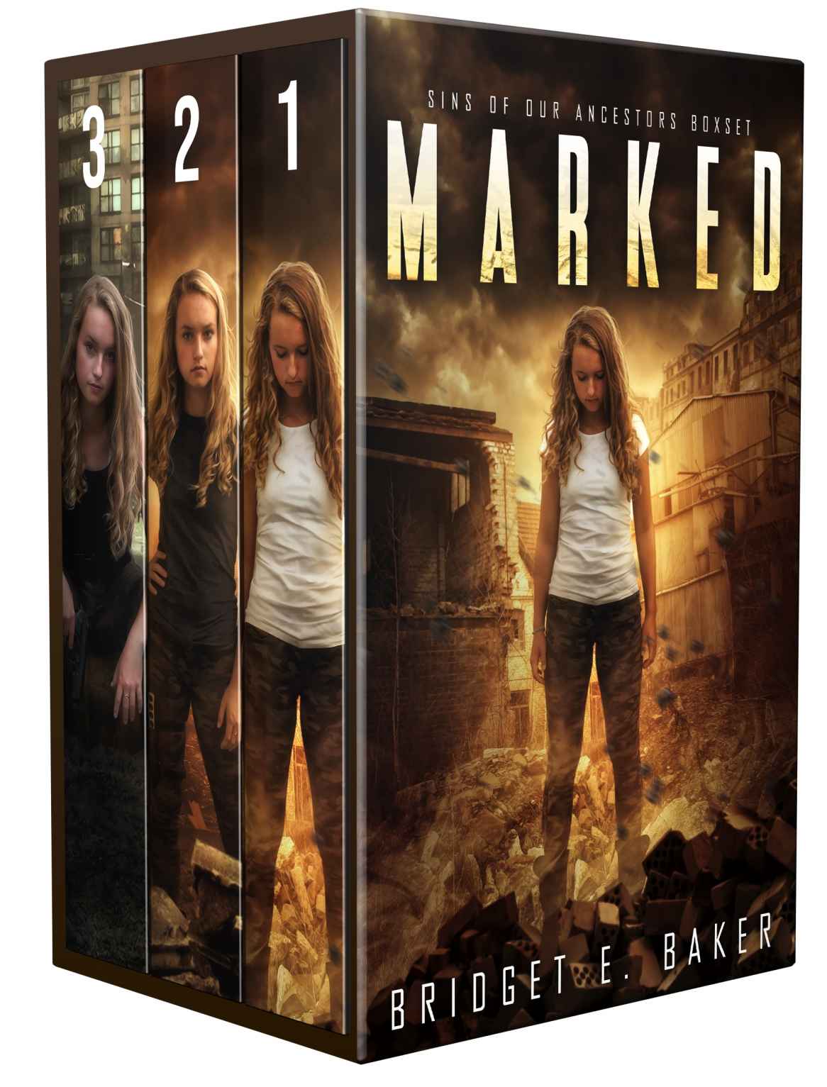 Sins Of Our Ancestors Boxed Set Marked Suppressed And Redeemed Bridget E Baker