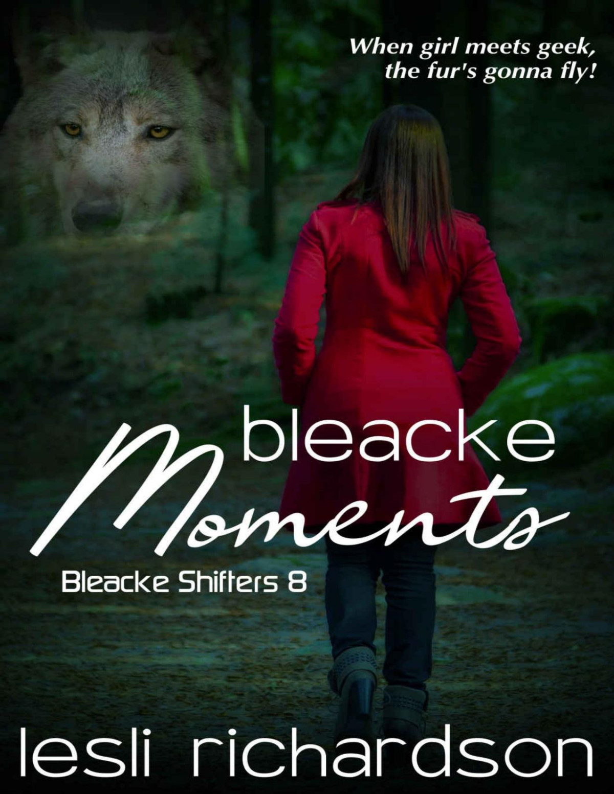 Bleacke Moments Bleacke Shifters Book 8 Lesli Richardson