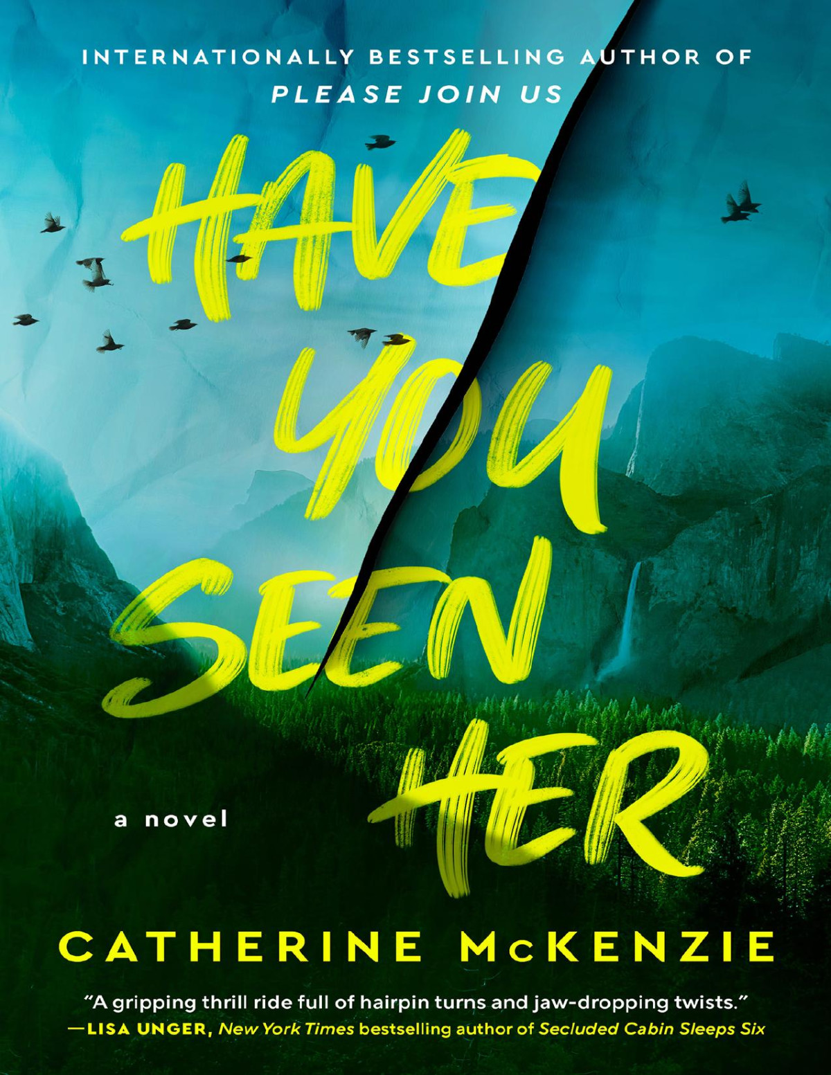 Have You Seen Her A Novel Catherine Mckenzie