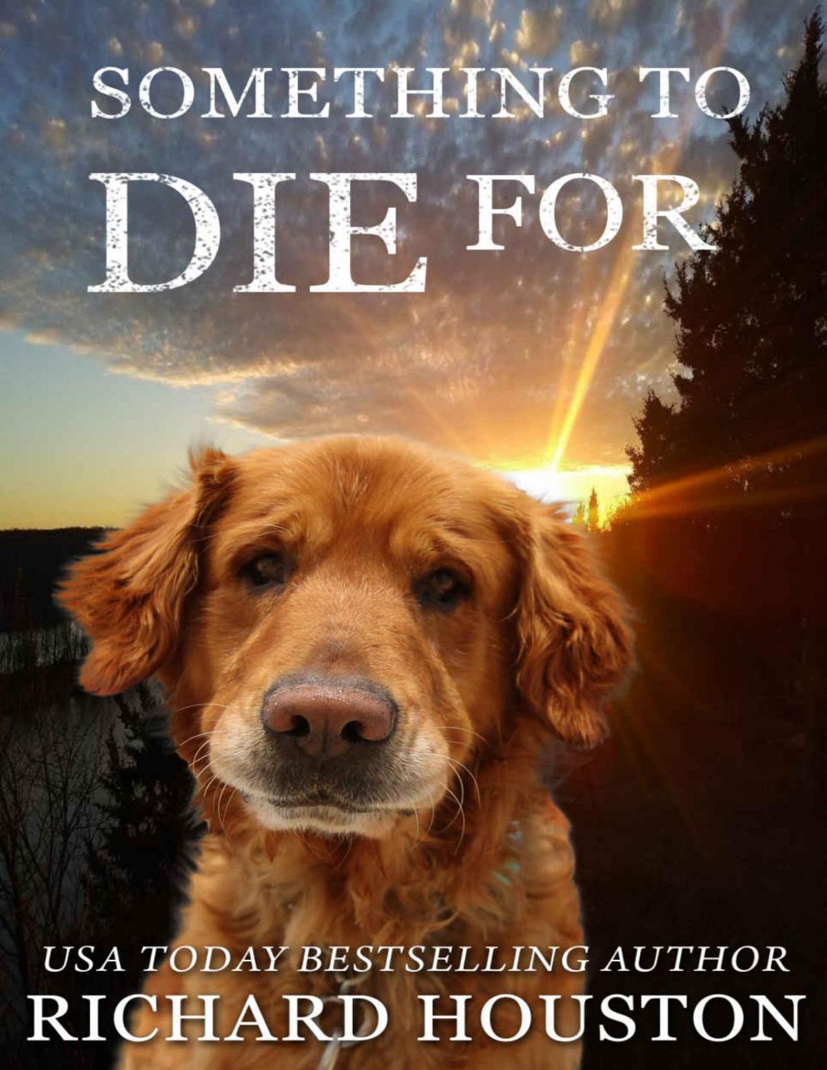 Books To Die For 07 Something To Die For Richard Houston