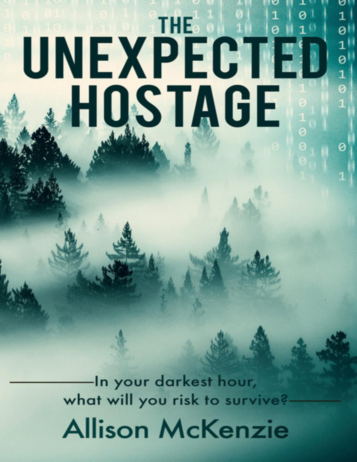 The Unexpected Hostage Allison Mckenzie