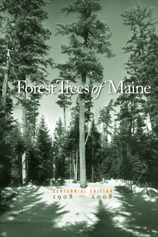 Forest Trees Of Maine 19082008 14th Edition Maine Forest Service