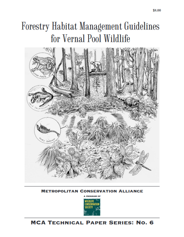 Forestry Habitat Management Guidelines For Vernal Pool Wildlife Calhoun