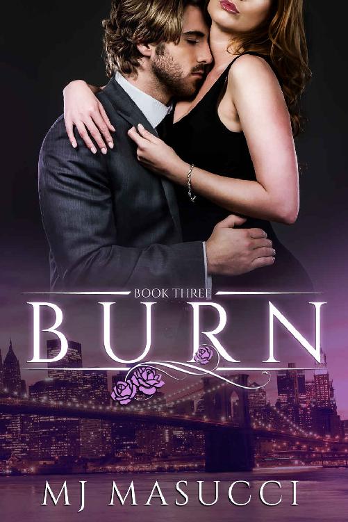 Burn Book 3 The Heat Series Mj Masucci