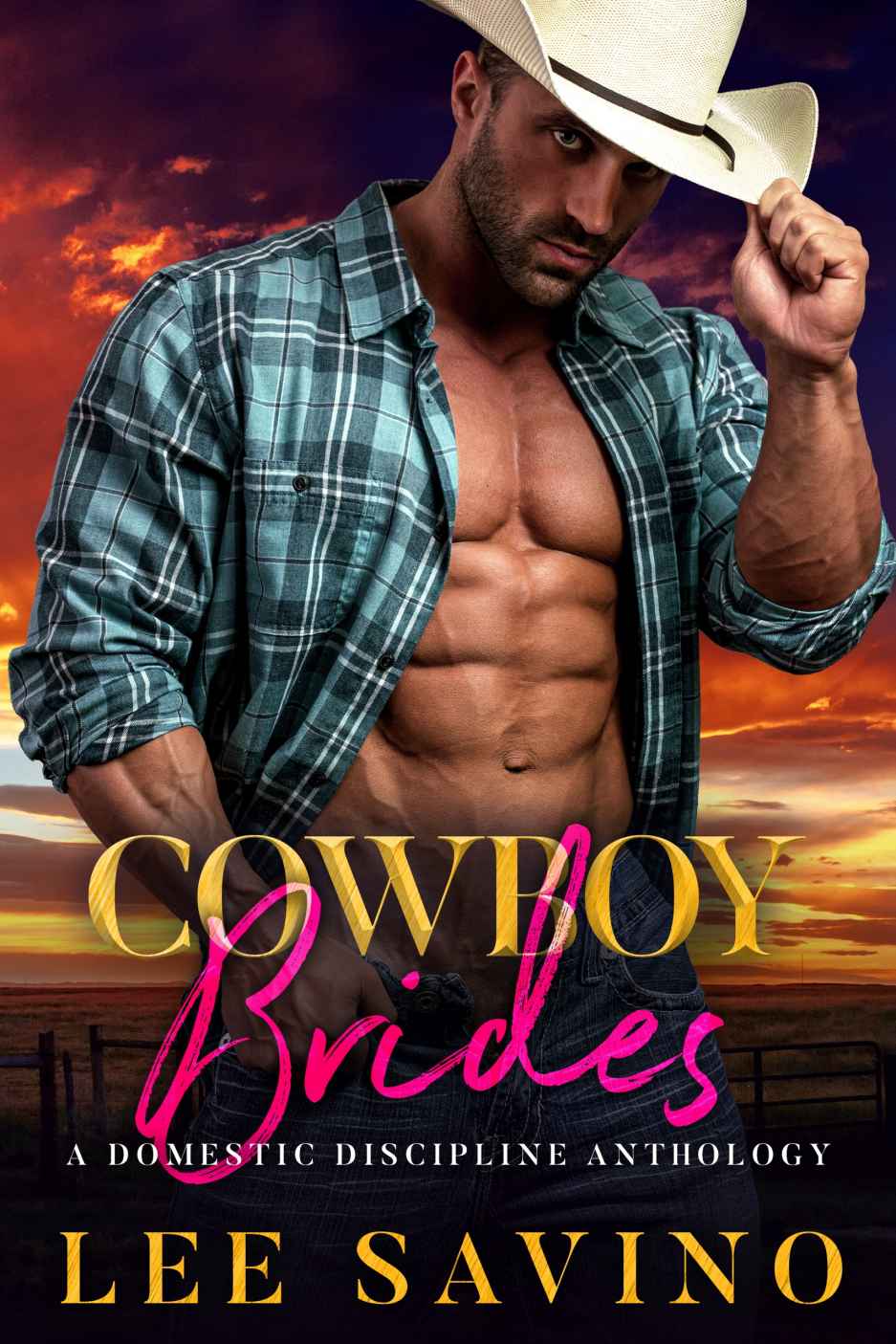 Cowboy Brides A Domestic Discipline Anthology Lee Savino