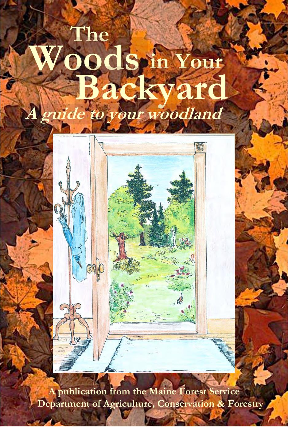 The Woods In Your Backyard 2nd Edition Maine Forest Service