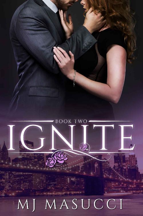 Ignite Book 2 The Heat Series 1 Mj Masucci