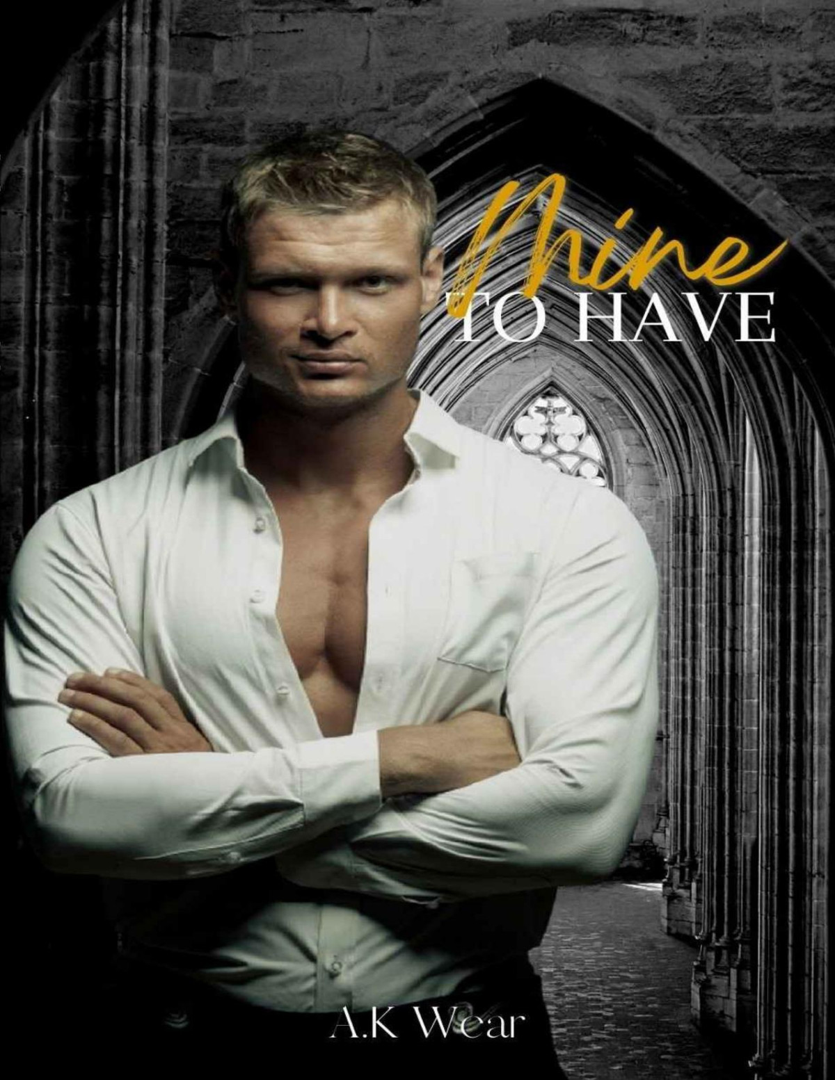 Mine To Have Bloodline Of New York Book 2 Ak Wear