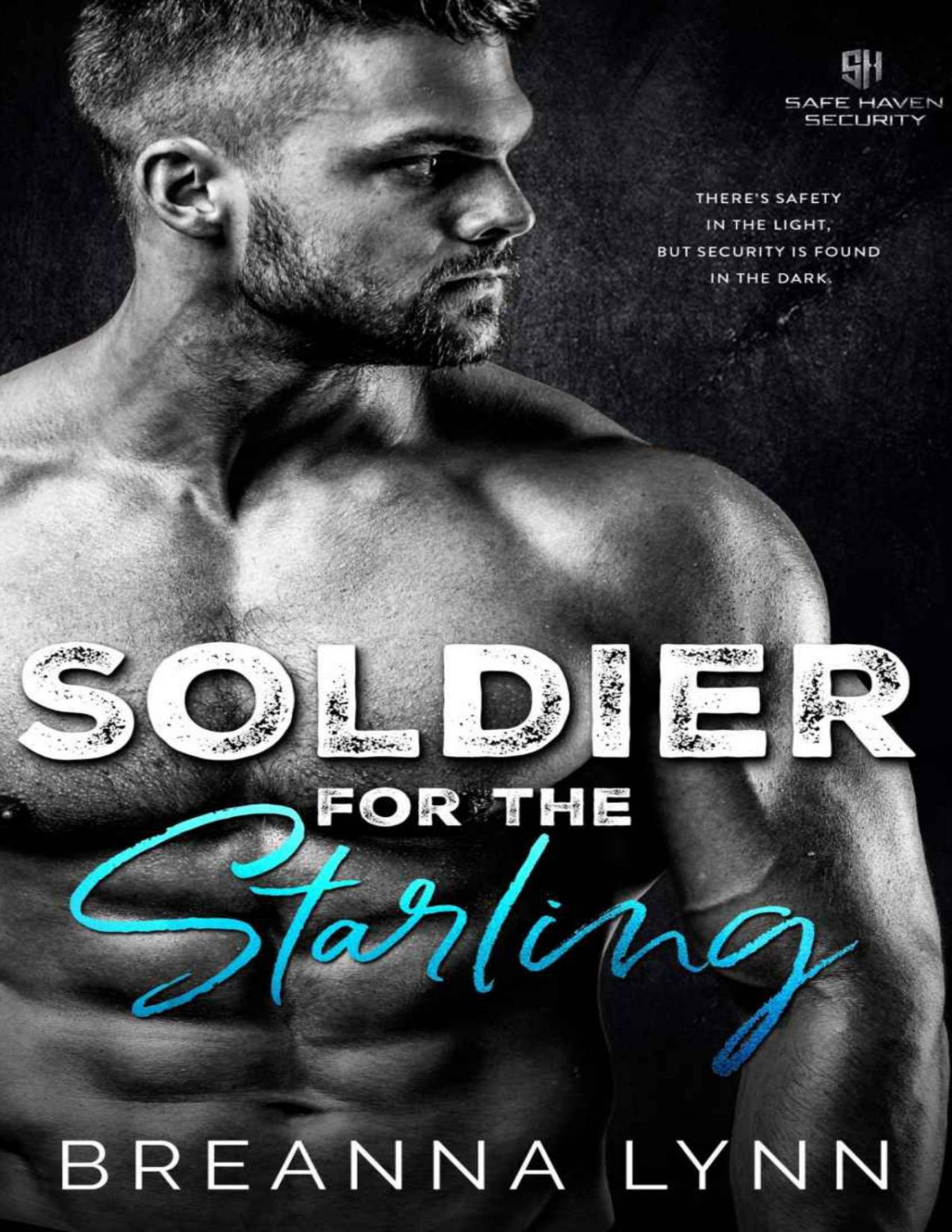 Soldier For The Starling Safe Haven Security Book 1 Breanna Lynn
