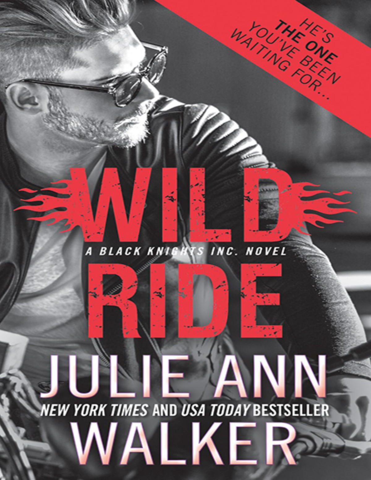 Wild Ride Julie Ann Walker