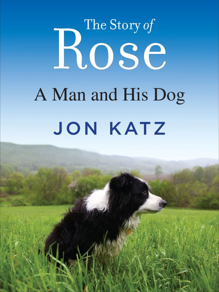 The Story Of Rose Jon Katz