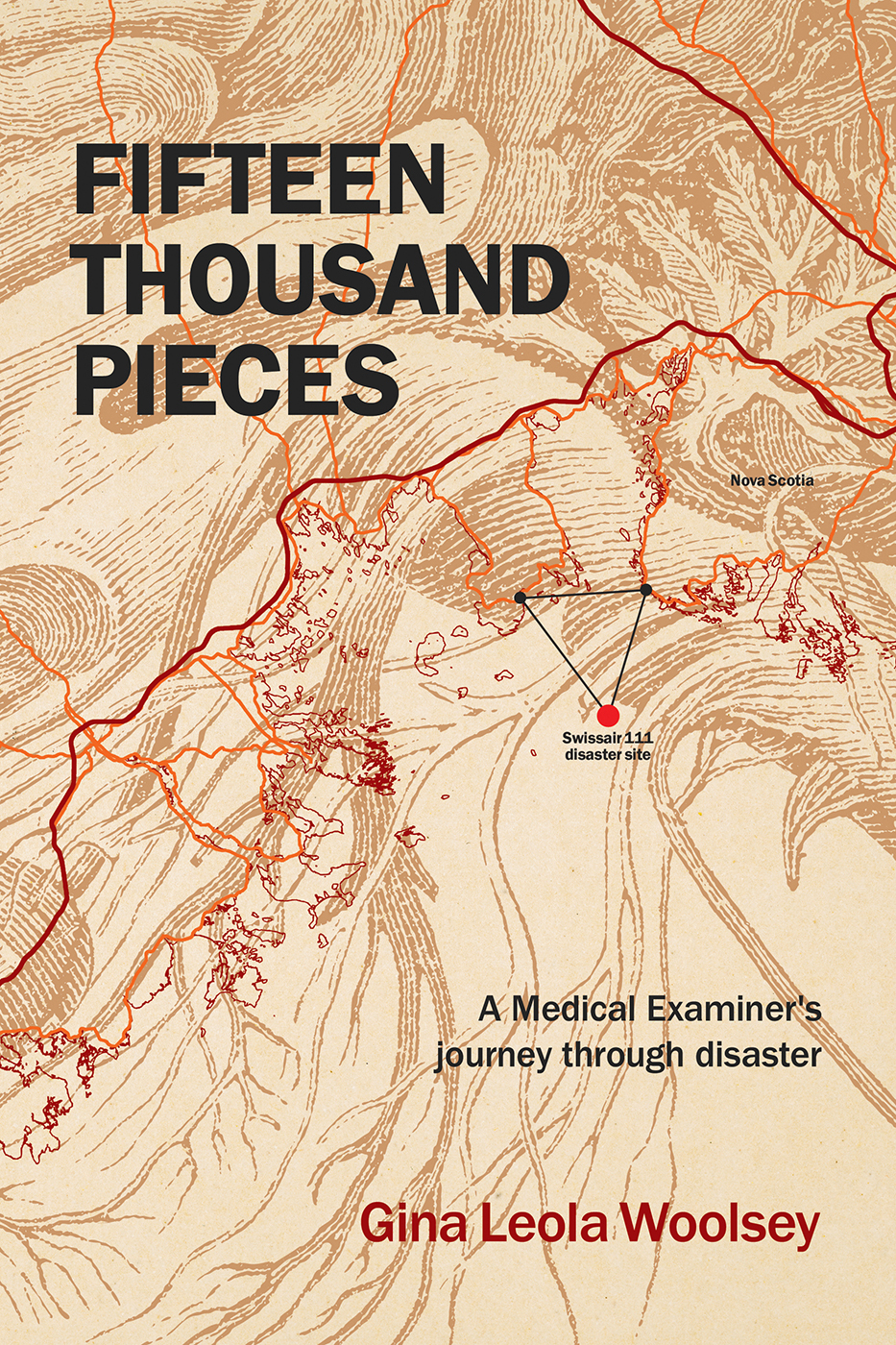 Fifteen Thousand Pieces Gina Leola Woolsey