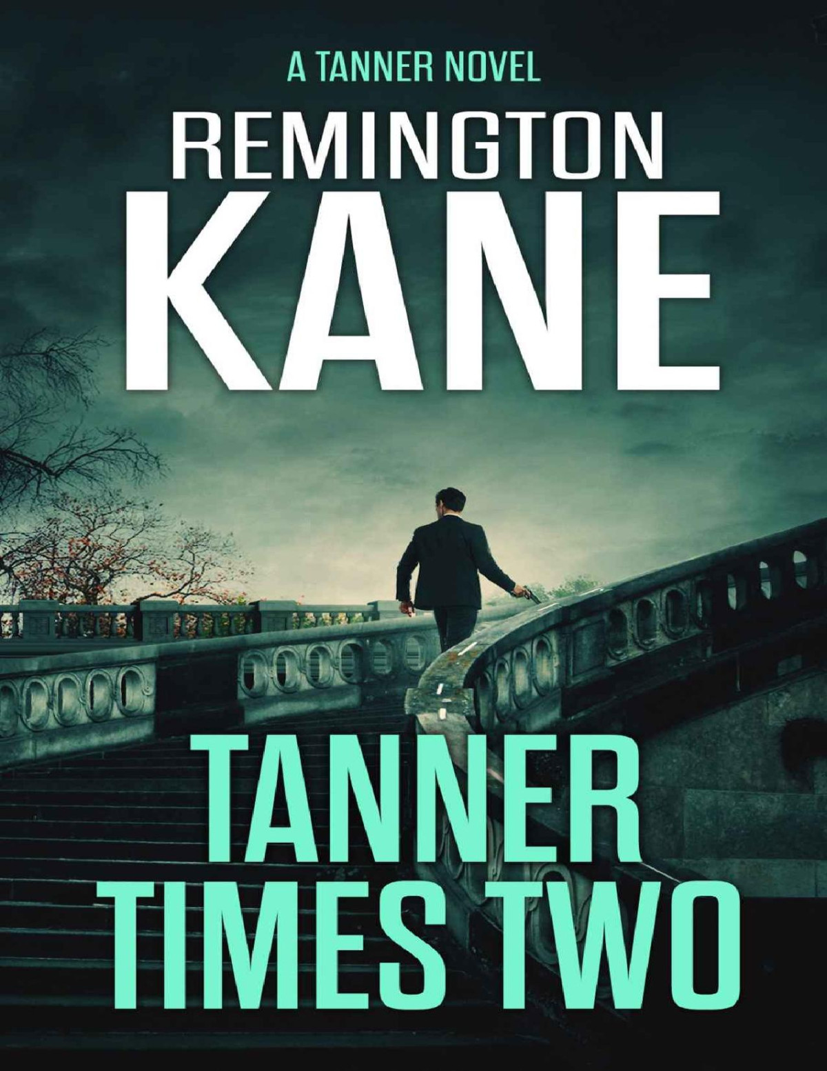 Tanner Times Two A Tanner Novel Book 11 Remington Kane