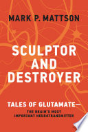 Sculptor And Destroyer Tales Of Glutamatethe Brains Most Important Neurotransmitter Mark P Mattson
