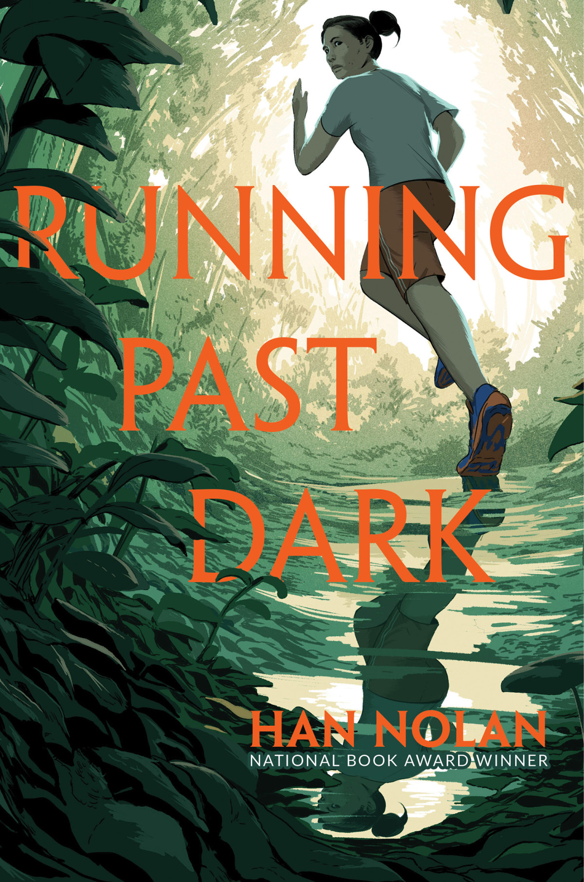 Running Past Dark Han Nolan