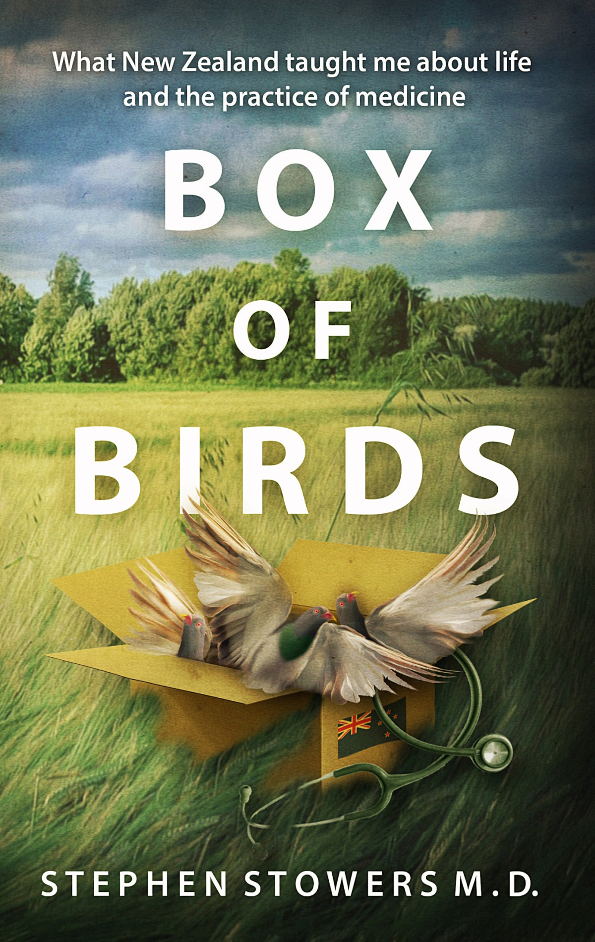 Box Of Birds Stephen Stowers Md
