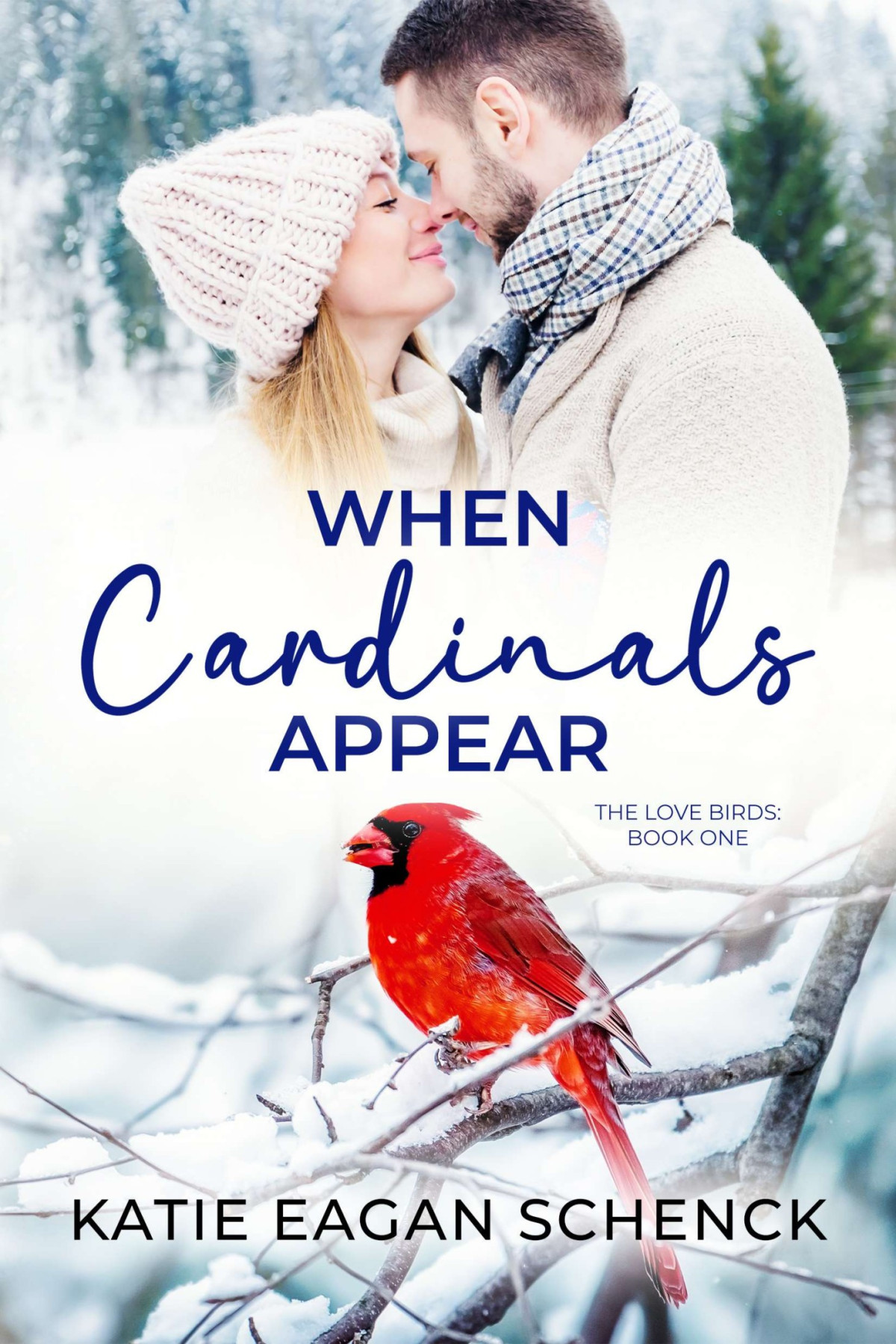 When Cardinals Appear Katie Eagan Schenck