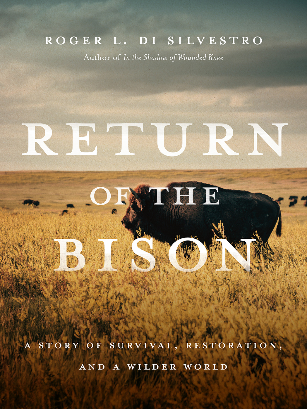 Return Of The Bison A Story Of Survival Restoration And A Wilder World Roger Di Silvestro
