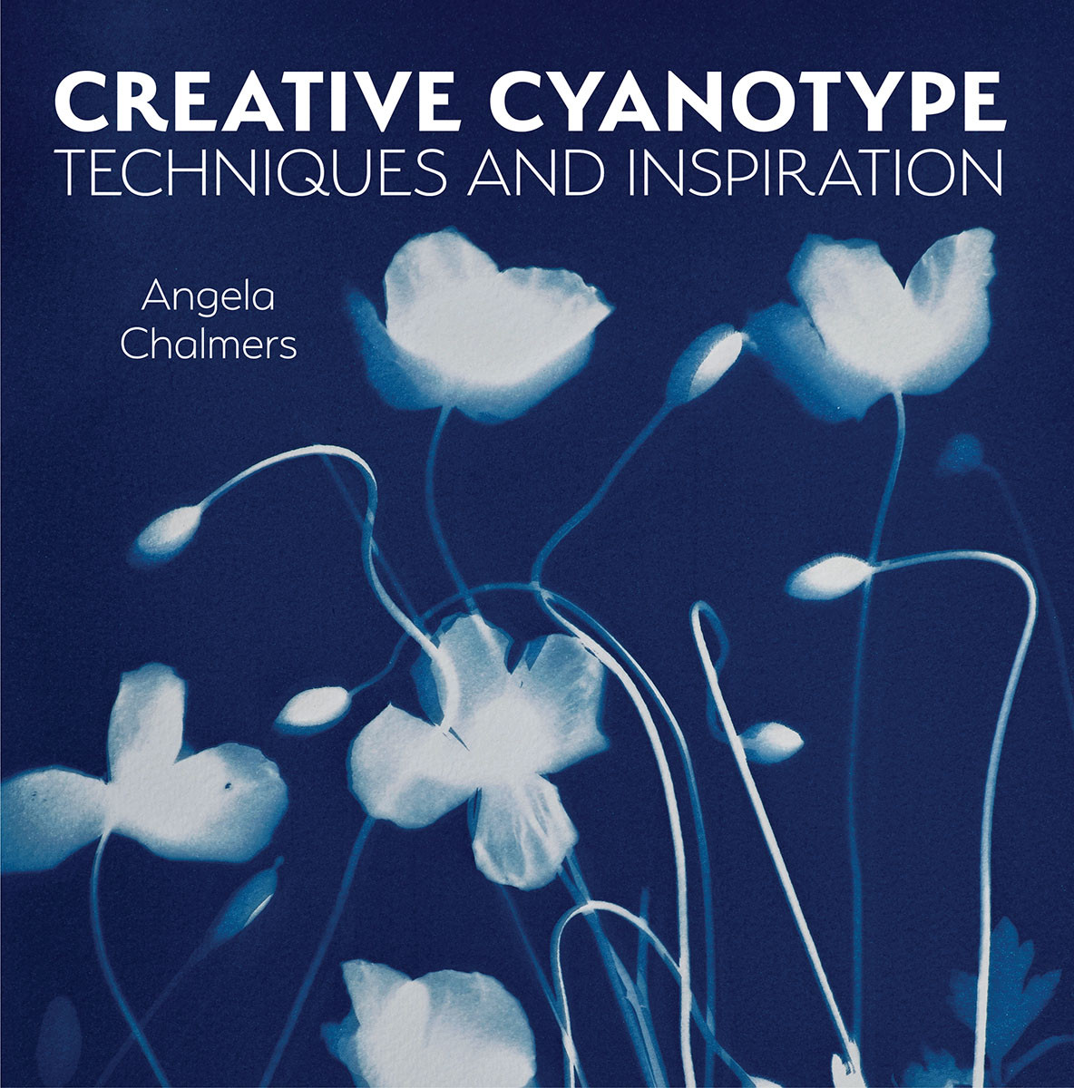 Creative Cyanotype Techniques And Inspiration Angela Chalmers