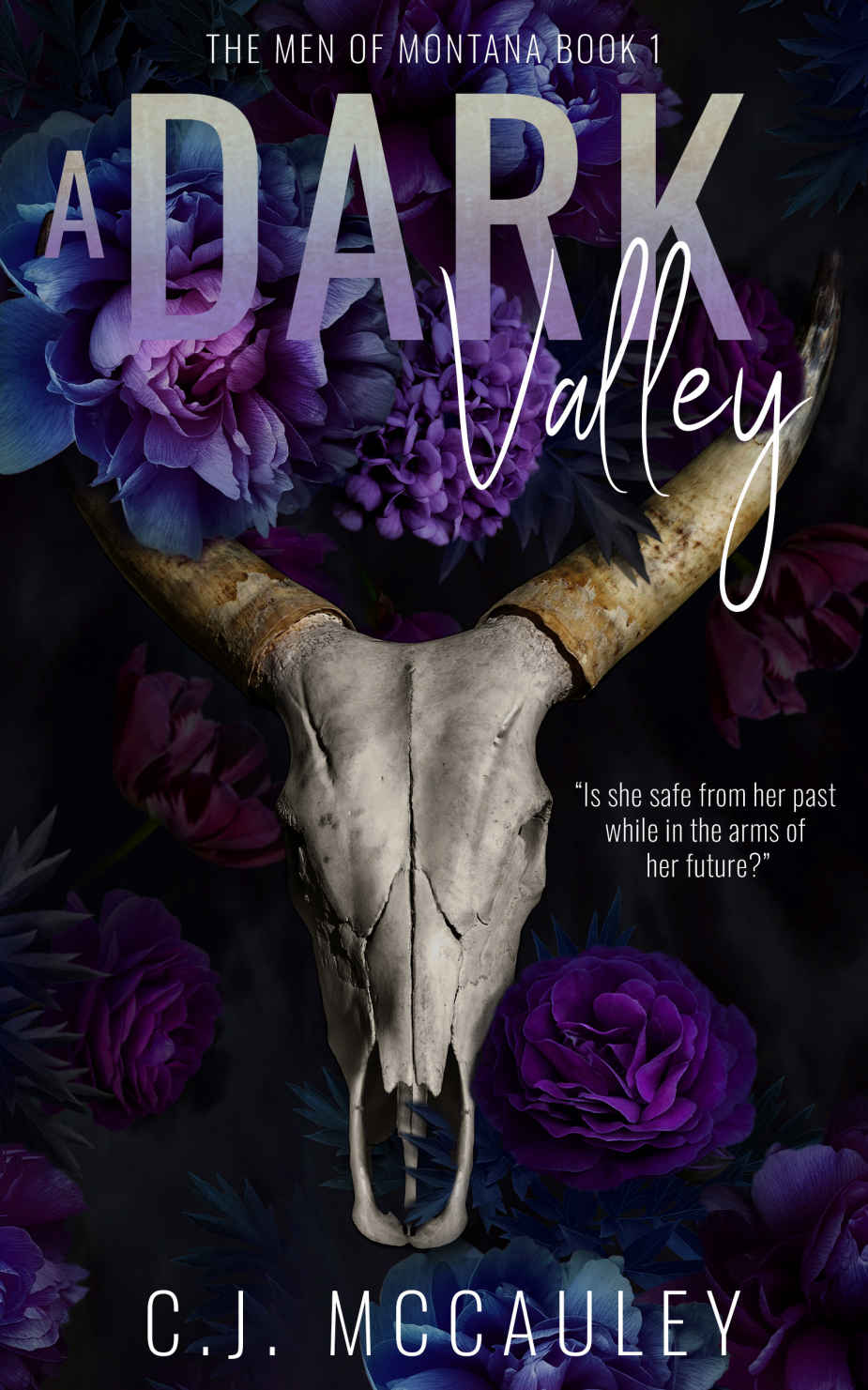 A Dark Valley Mccauley Cj