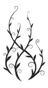 Caged In Shadow Of Dragons And Fae Book 3 Jasmine Walt