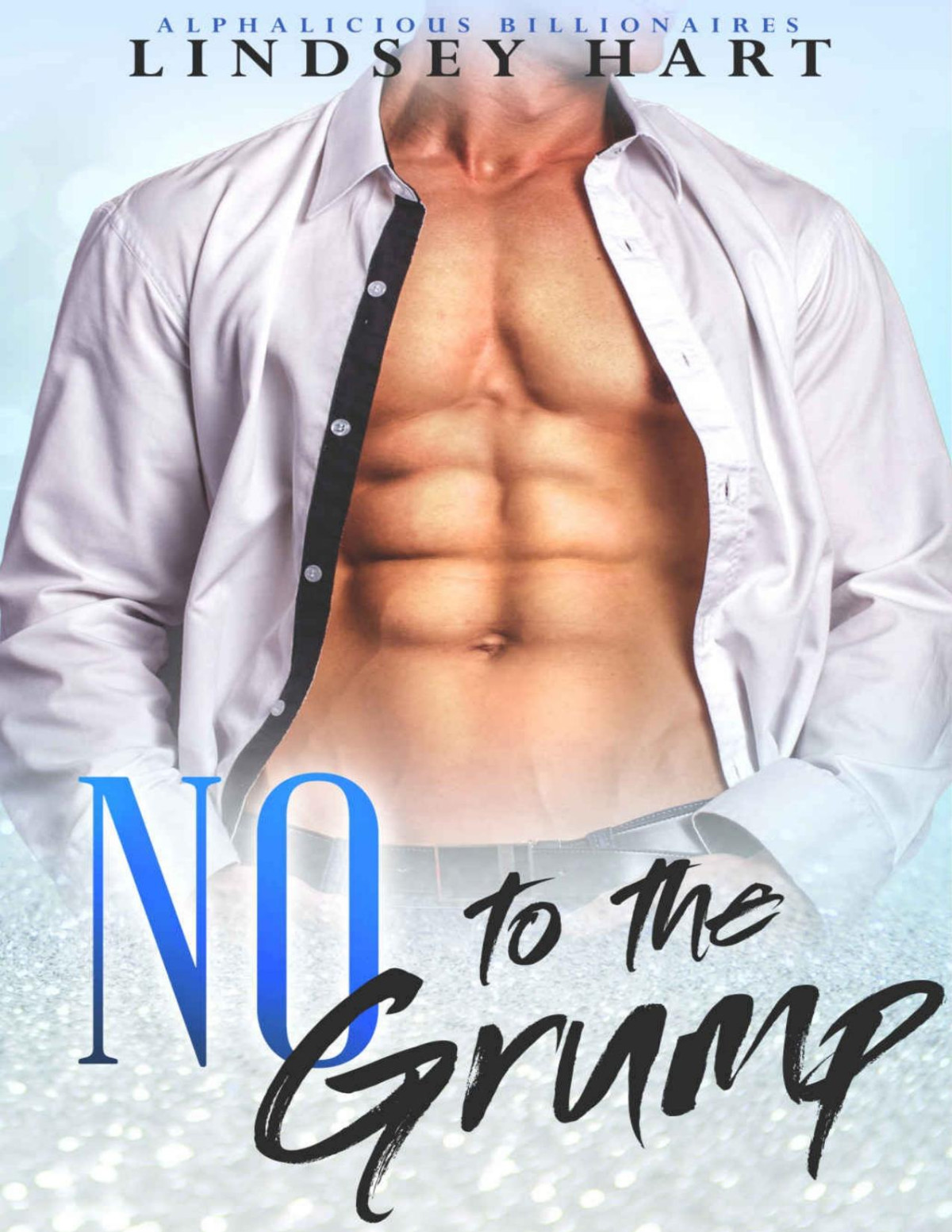No To The Grump A Spicy Enemies To Lovers Rom Com Lindsey Hart