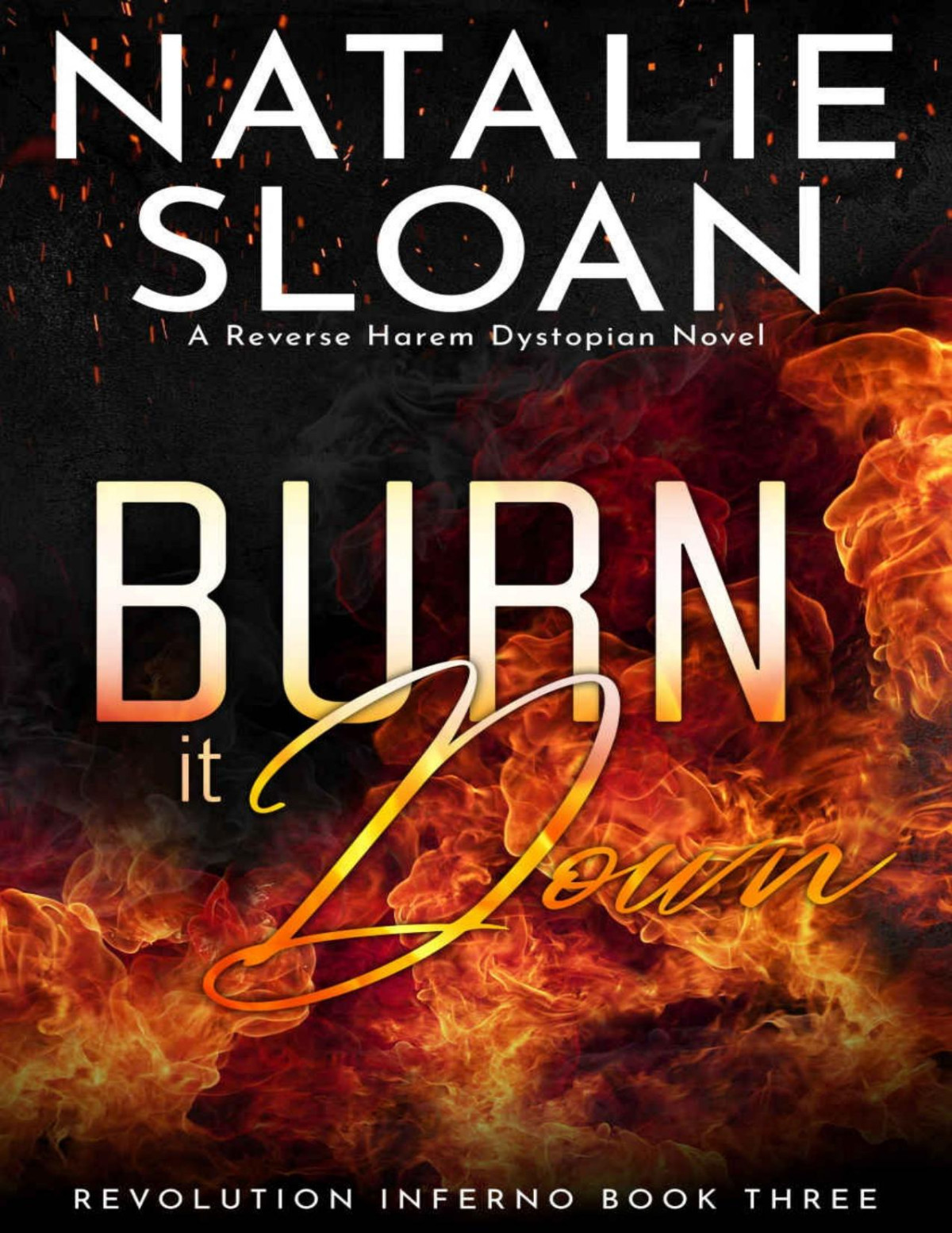 Burn It Down Revolution Inferno Book 3 Natalie Sloan