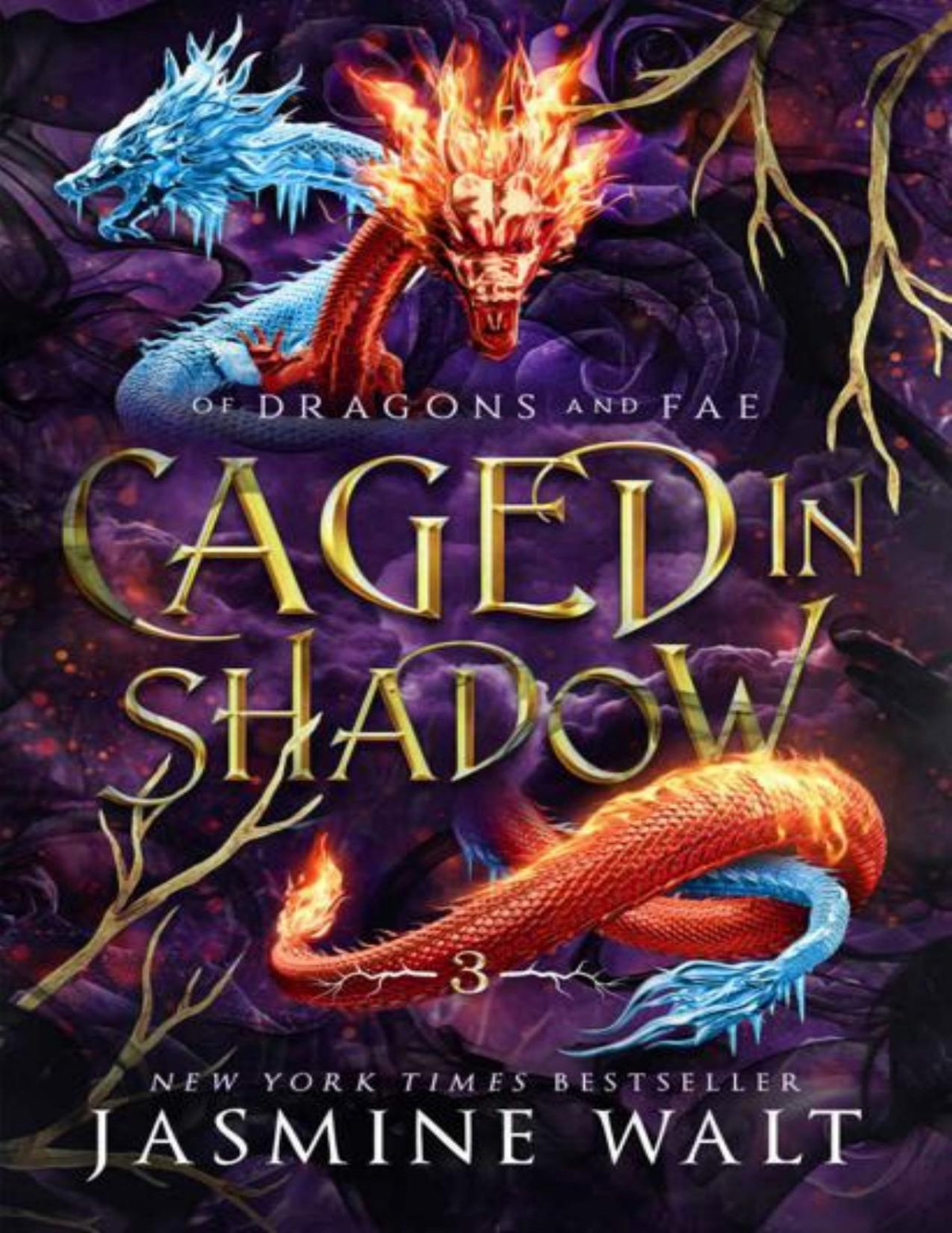 Caged In Shadow Of Dragons And Fae Book 3 Jasmine Walt