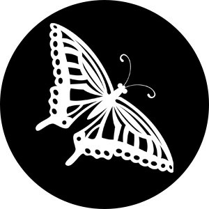 Butterfly In Amber Spotless Book 4 Camilla Monk