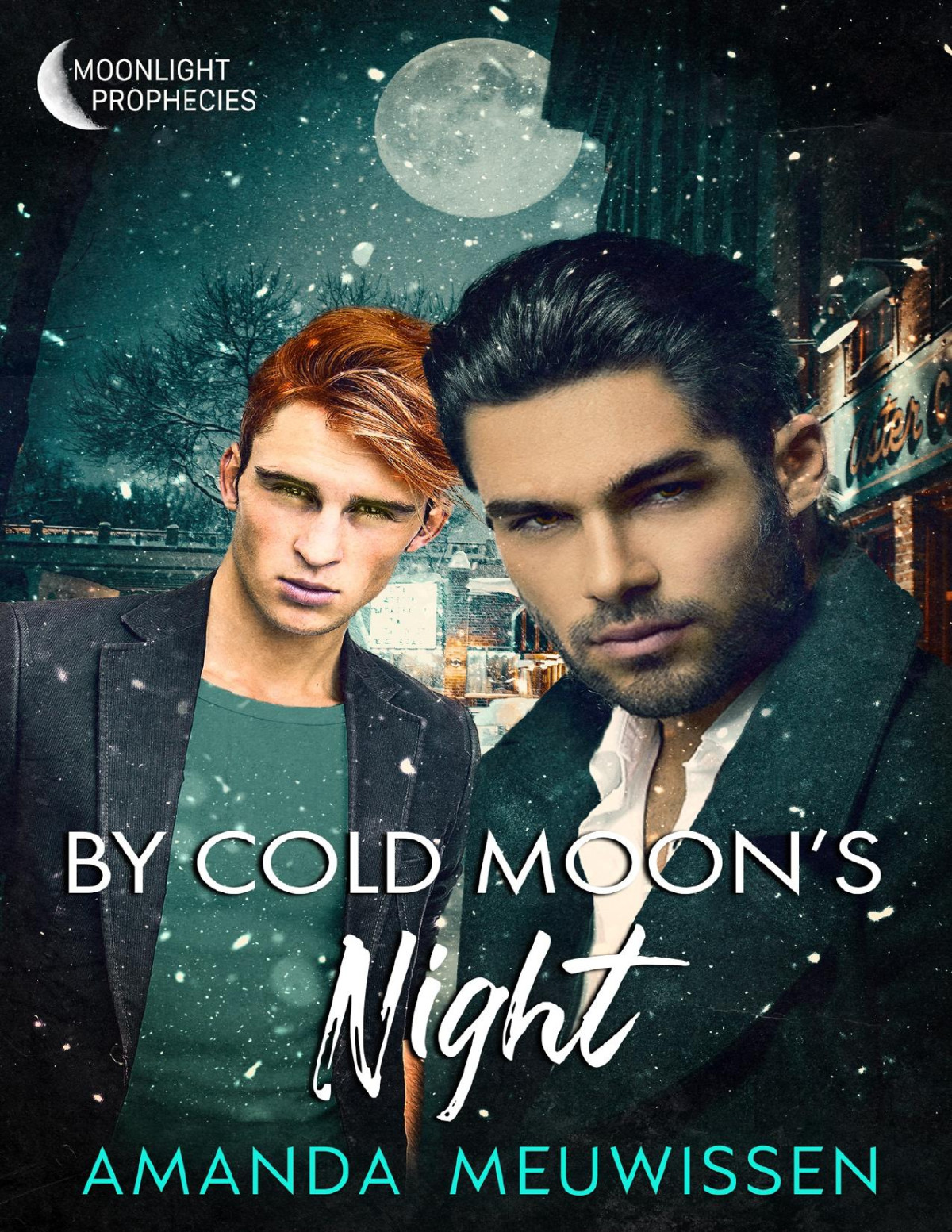 By Cold Moons Night Amanda Meuwissen
