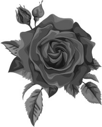Captivate Me A Dark Captive Romance Harmony West