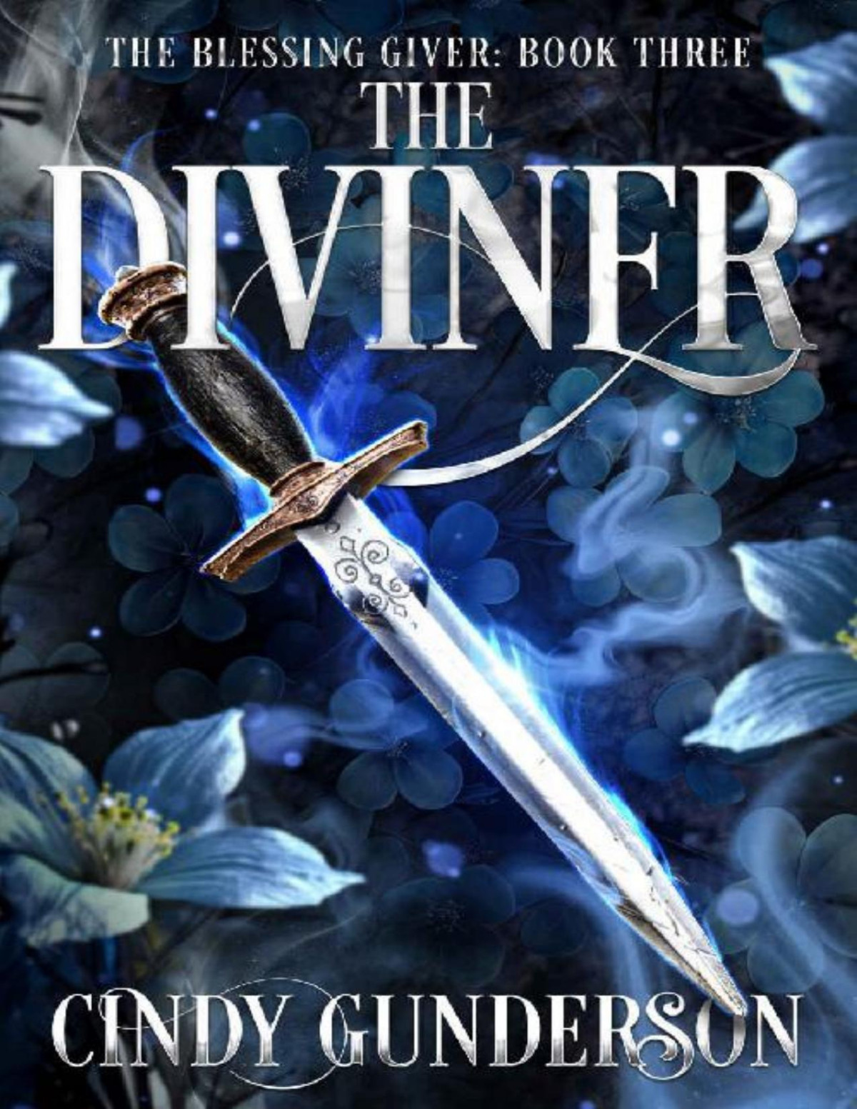 The Diviner The Blessing Giver Book 3 Cindy Gunderson