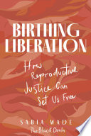 Birthing Liberation How Reproductive Justice Can Set Us Free Sabia Wade