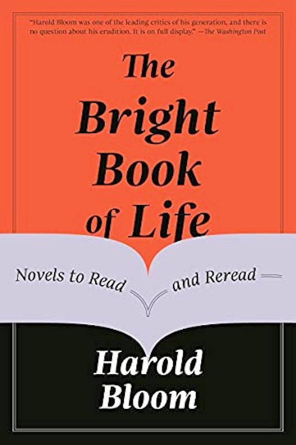 The Bright Book Of Life Novels To Read And Reread Harold Bloom