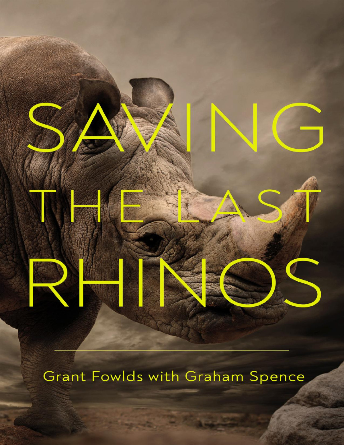 Saving The Last Rhinos Grant Fowlds