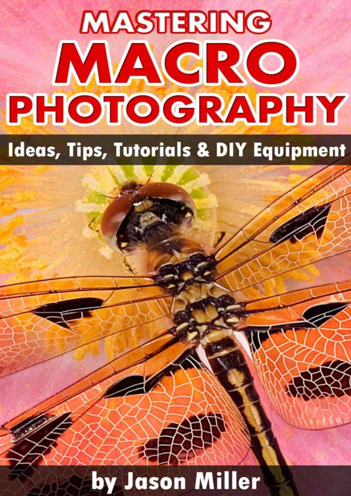 Mastering Macro Photography Ideas Tips Tutorials Diy Equipment Jason Miller
