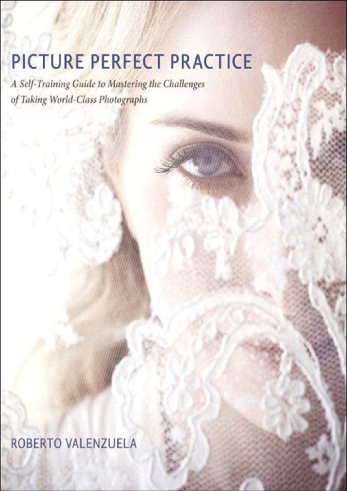 Picture Perfect Practice A Selftraining Guide To Mastering The Challenges Of Taking Worldclass Photographs Voices That Matter Roberto Valenzuela