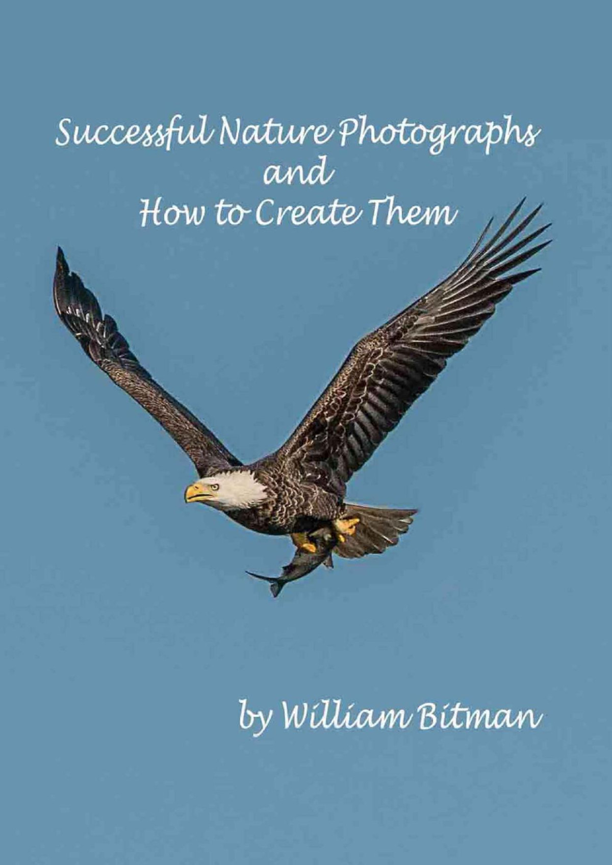 Successful Nature Photographs And How To Create Them William Bitman