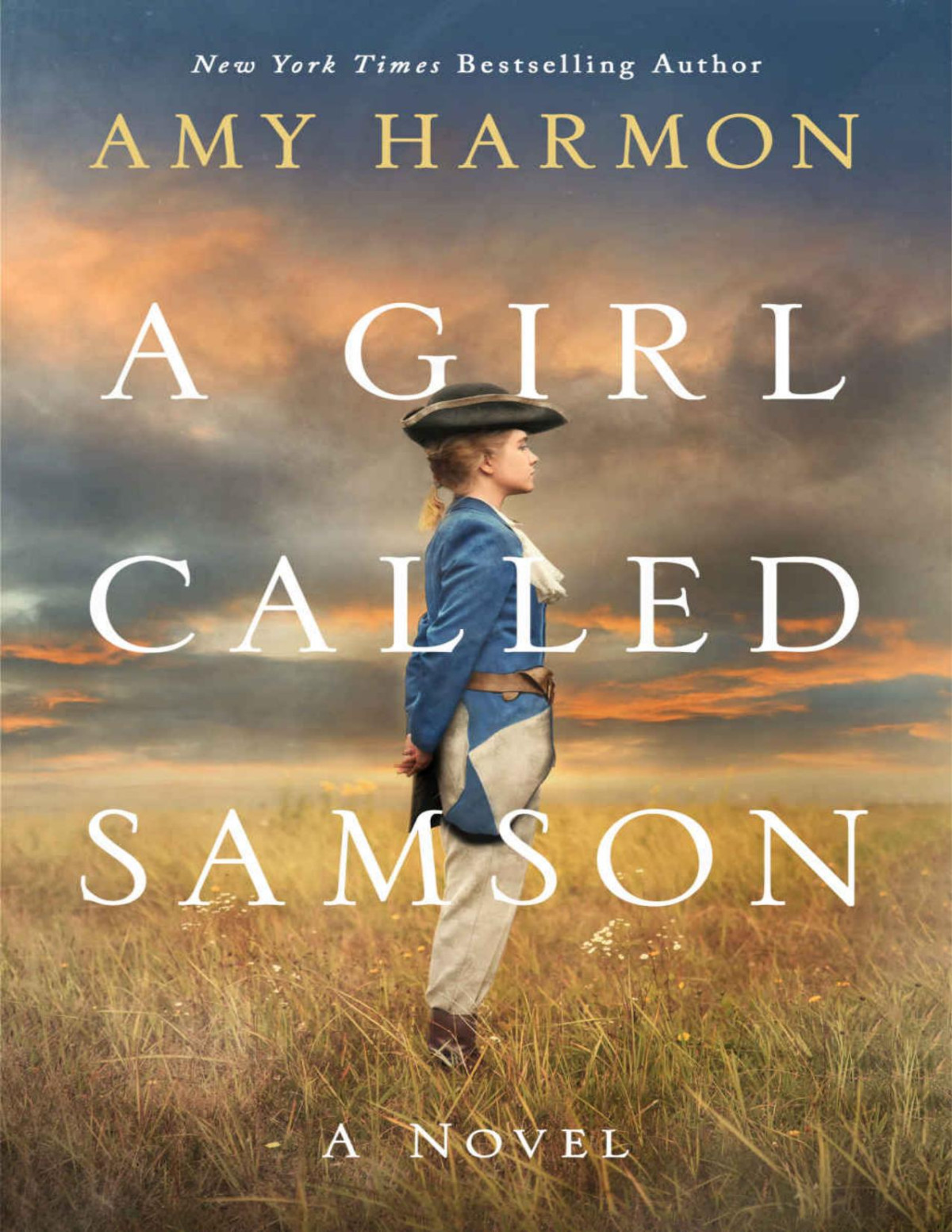 A Girl Called Samson A Novel Amy Harmon