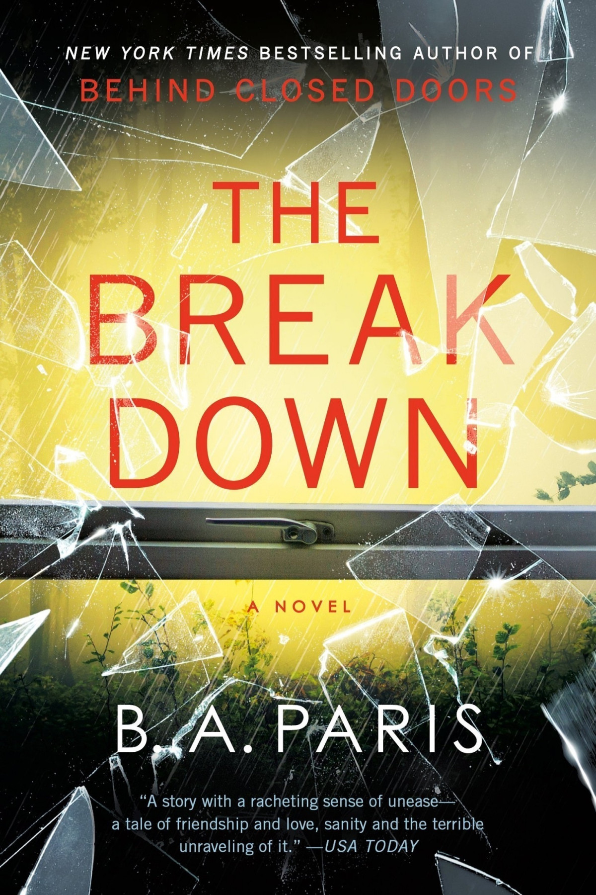 The Breakdown A Novel B A Paris