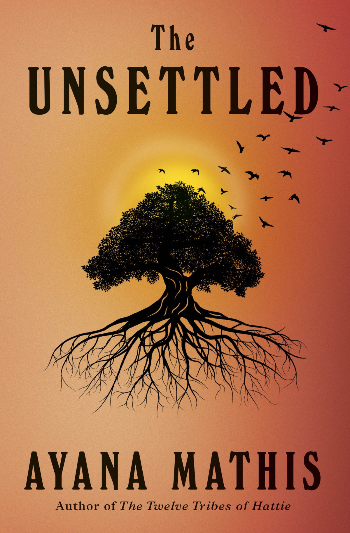 The Unsettled Ayana Mathis