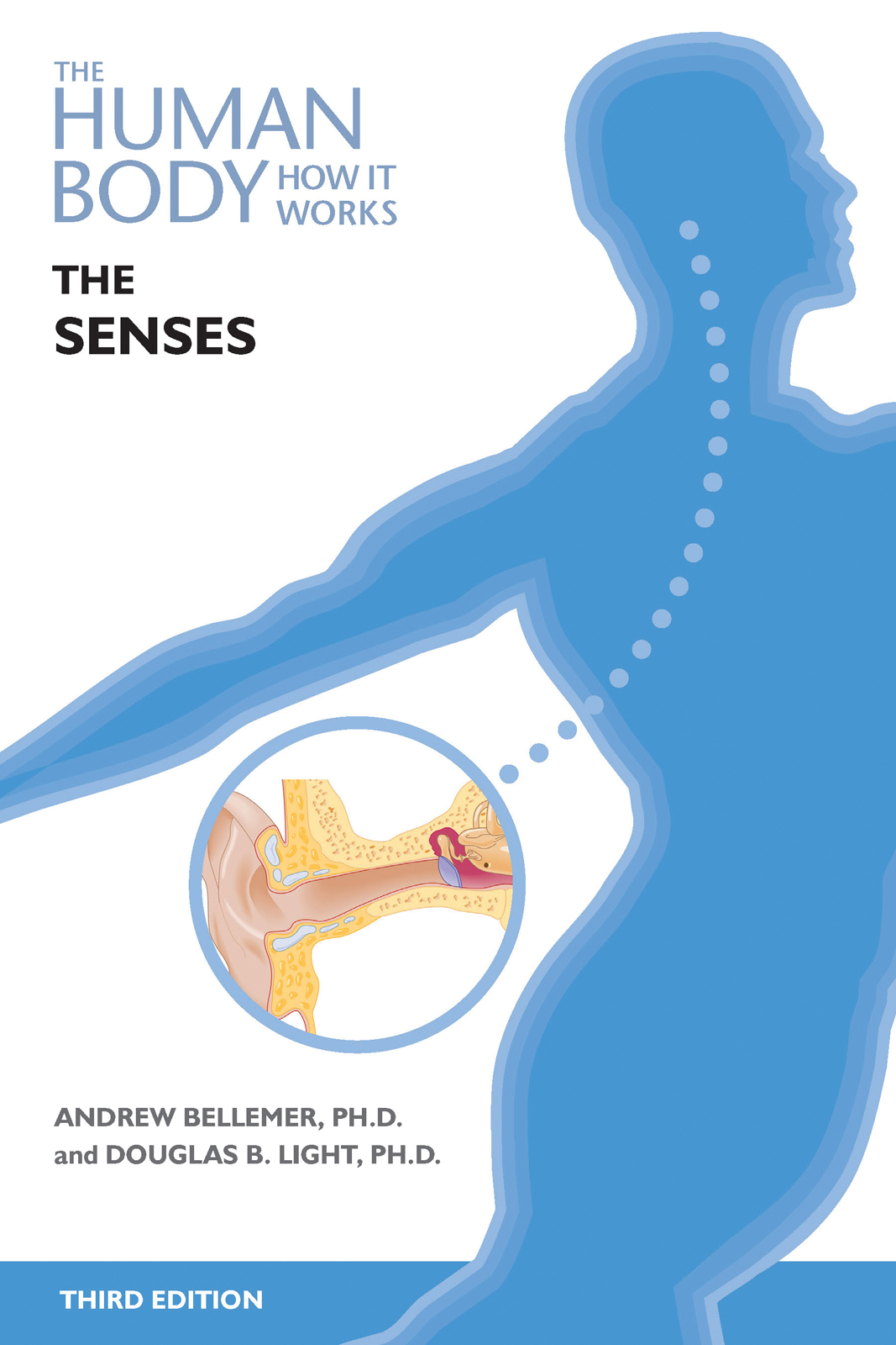 The Human Body How It Works The Senses 3rd Edition Andrew Bellemer Douglas B Light