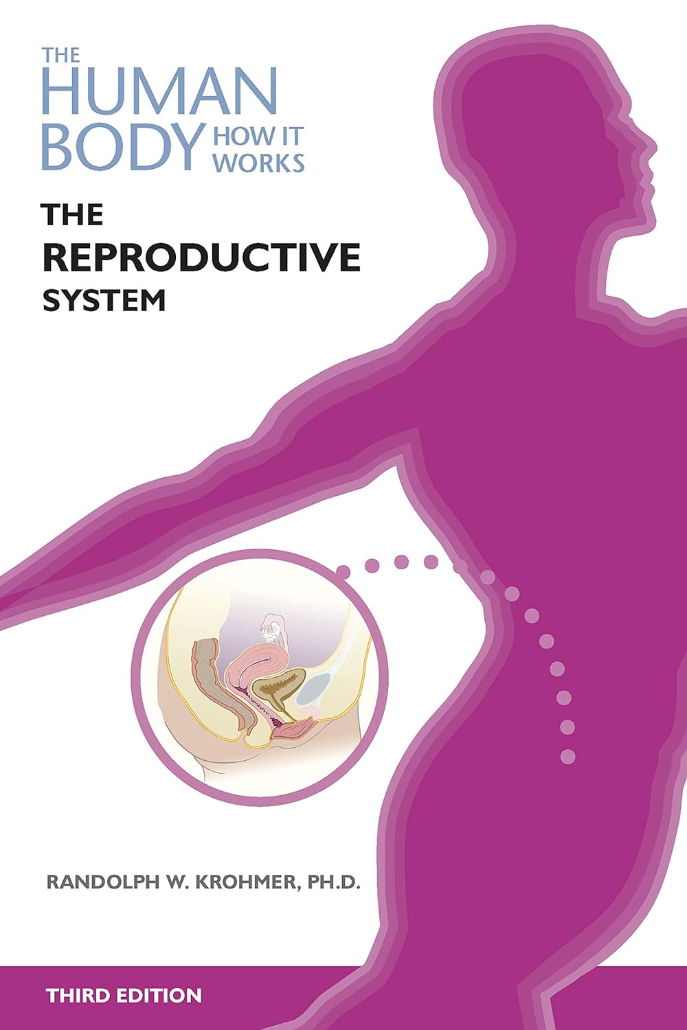 The Human Body How It Works The Reproductive System 3rd Edition Randolph W Krohmer