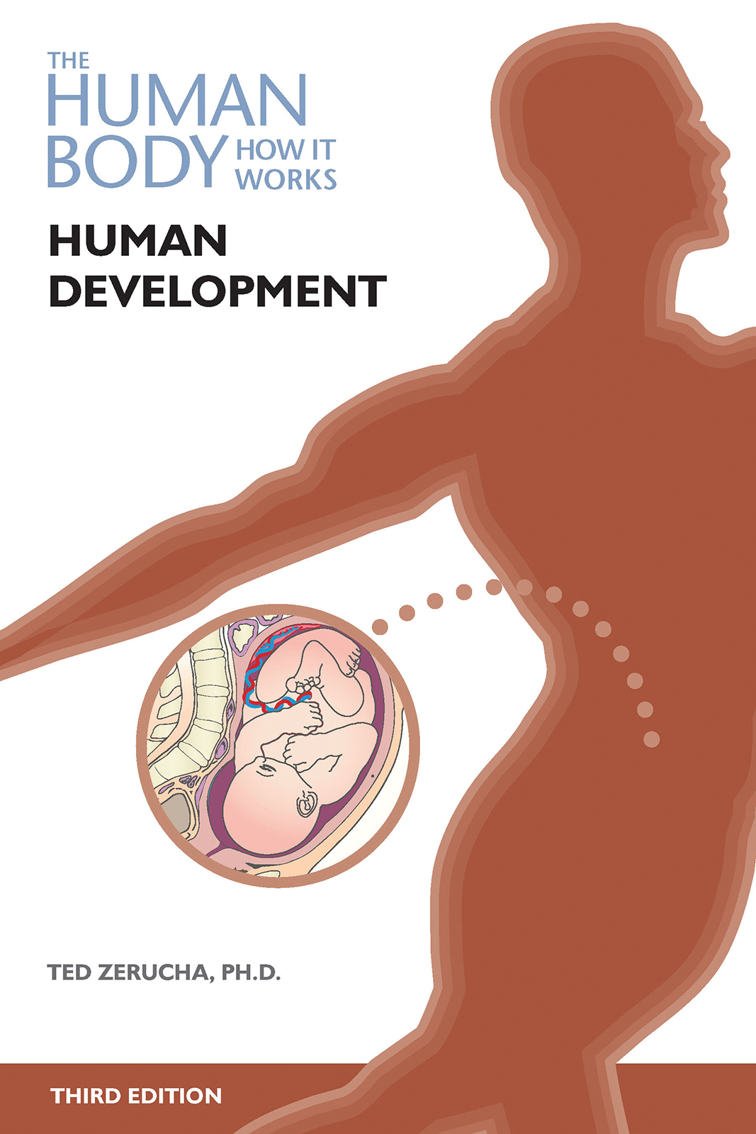 The Human Body How It Works Human Development 3rd Edition Ted Zerucha
