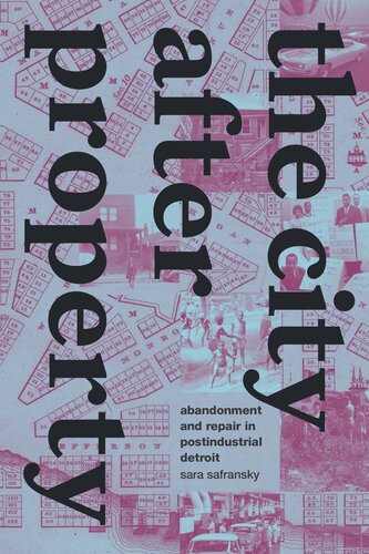 The City After Property Abandonment And Repair In Postindustrial Detroit Sara Safransky
