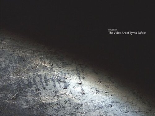 The Video Art Of Sylvia Safdie Eric Lewis