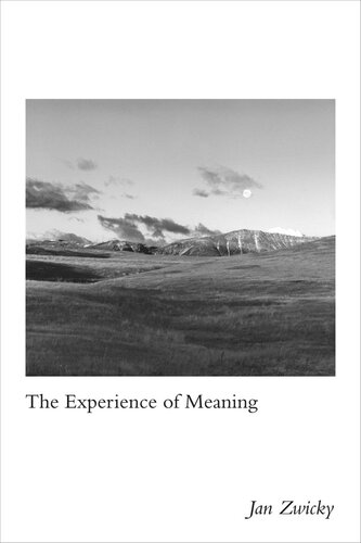 The Experience Of Meaning Jan Zwicky