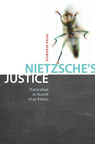 Nietzsches Justice Naturalism In Search Of An Ethics Peter R Sedgwick
