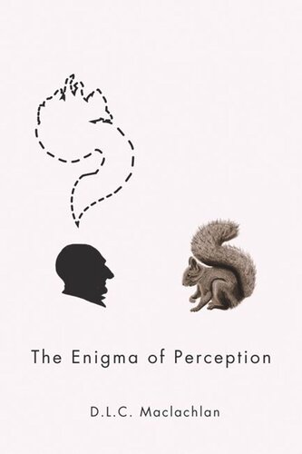 The Enigma Of Perception Dlc Maclachlan