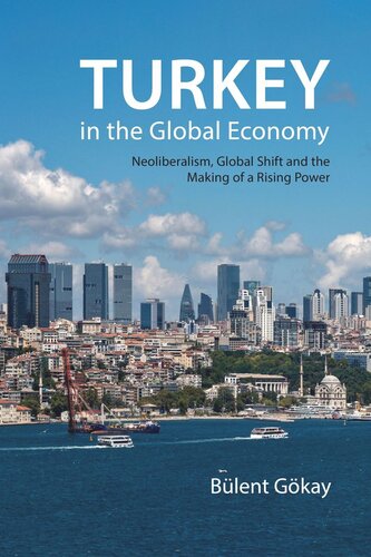 Turkey In The Global Economy Neoliberalism Global Shift And The Making Of A Rising Power Blent Gkay
